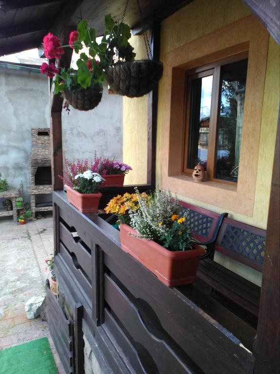 Vila Dariana Vatra Dornei Exterior foto